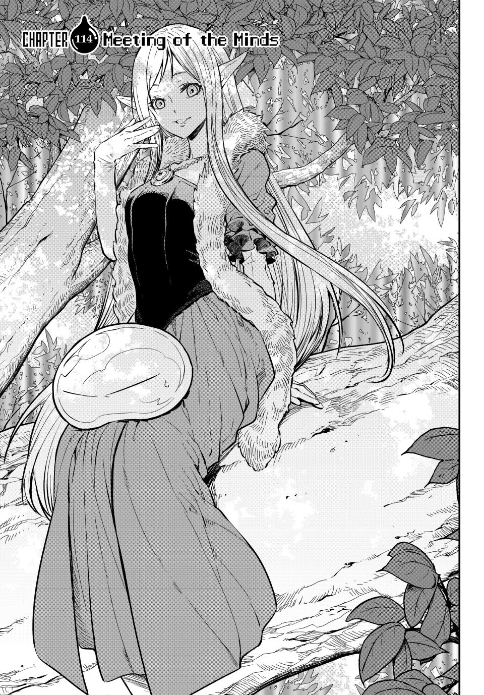 That Time I Got Reincarnated as a Slime, Chapter 114 image 13